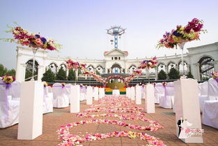 嘉美盛世 以光影定格永恒，專業主題婚禮策劃中的視覺藝術